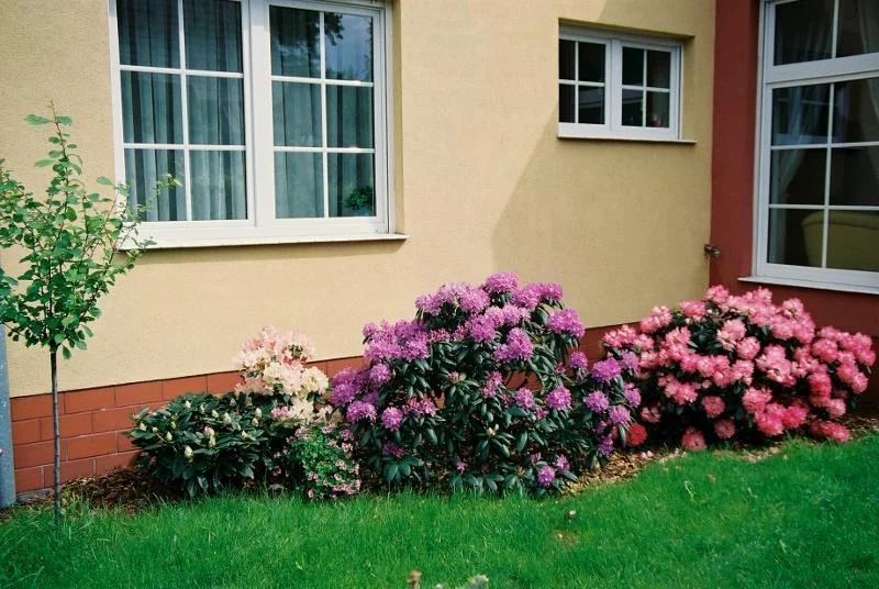Zdjęcie z galerii